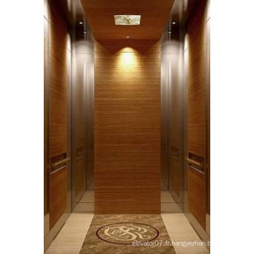 Fjzy-High Quality and Safety Passenger Elevator Fj-1529